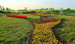 爆料半亩花田视频下载免费,免费下载视频的秘密大公开！